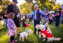 Castlemaine takes Pride