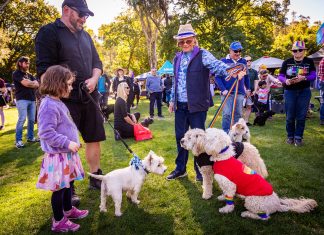 Castlemaine takes Pride