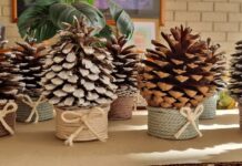 Find the perfect gift for someone special