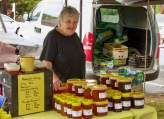 Celebrate Christmas by shopping local this Saturday!