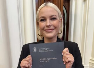 Inquiry calls for change