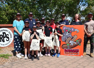 Romsey project skating ahead