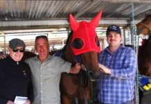 Kyneton trainer Neil Dyer pursues Devonport Cup