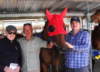 Kyneton trainer Neil Dyer pursues Devonport Cup