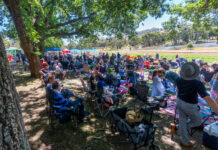 It’s cup day at Hanging Rock