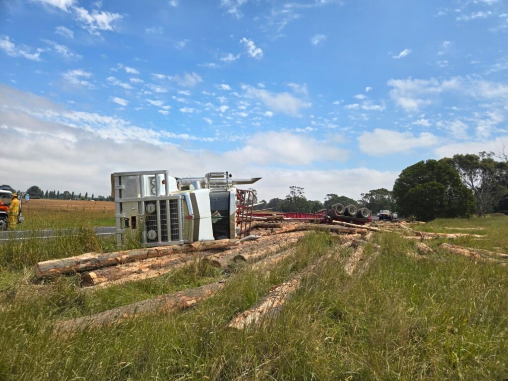 Logging truck tips and loses load