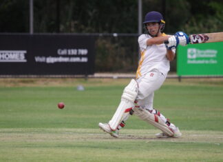 Castlemaine district cricketers return