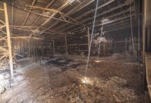 Rebuilding from the ashes