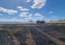 Firies battle 45ha blaze