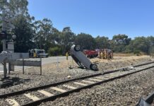 Rescued, then arrested