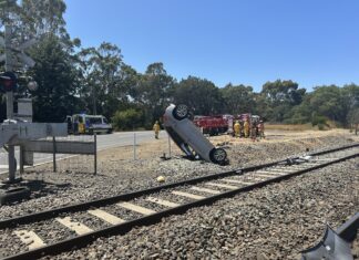 Rescued, then arrested