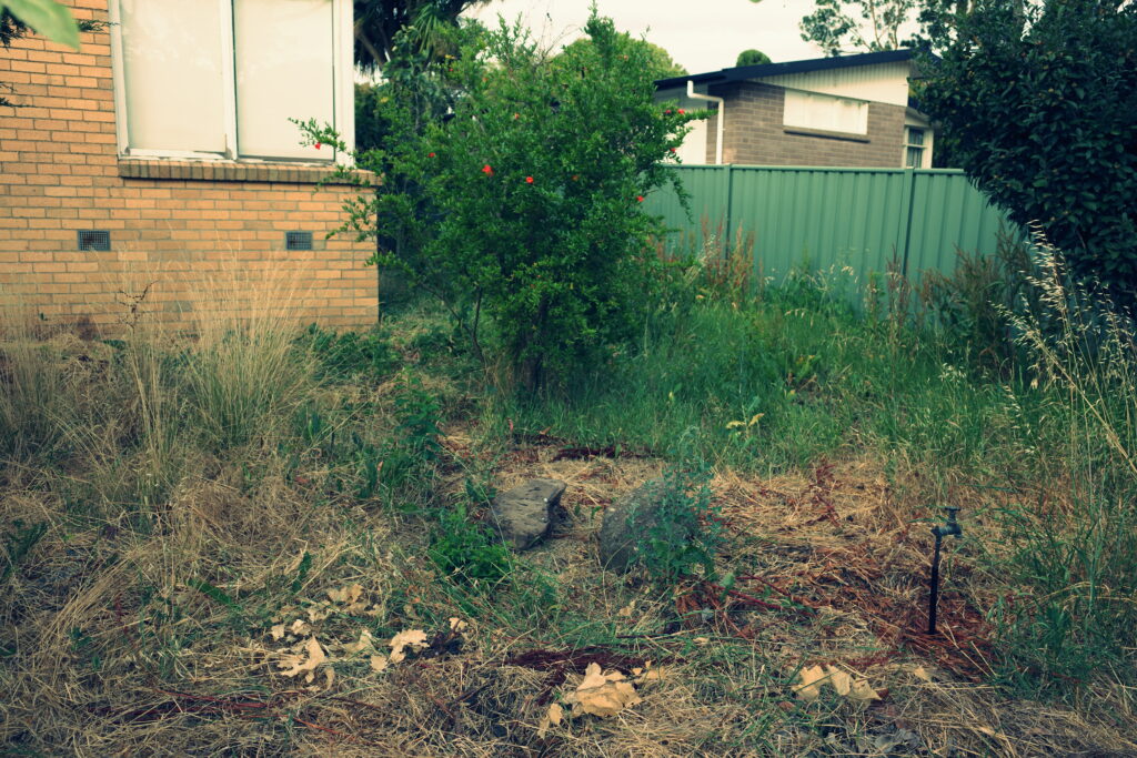 It truly is the world’s ugliest lawn