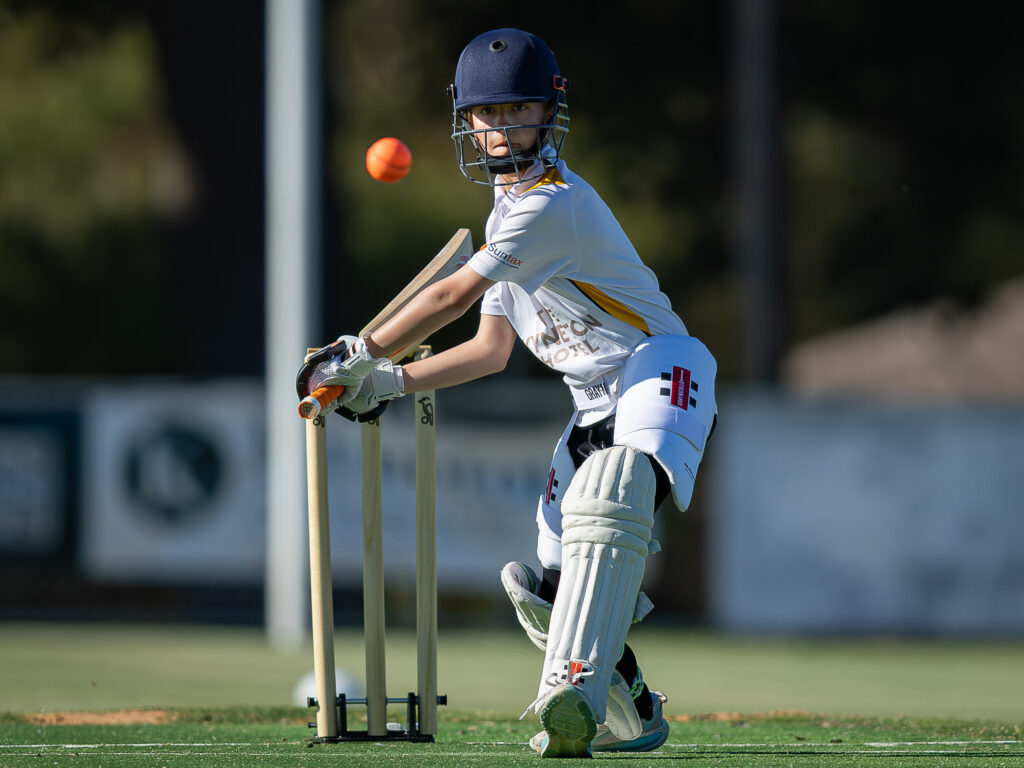 Tigers march through to final