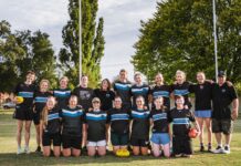 Wedge-Tailed Eagles take flight