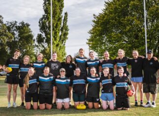 Wedge-Tailed Eagles take flight
