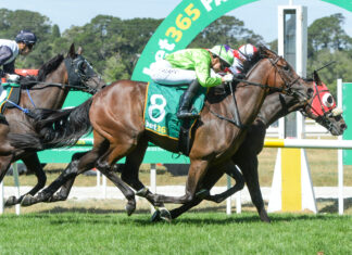 Local favourite misses out