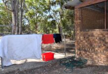 Homeless in Harcourt