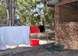 Homeless in Harcourt