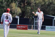 Big names hit centuries