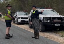 Rescuer threatened as birds die