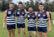 Cats make a good start