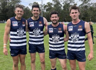 Cats make a good start