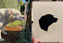 Special after Lost Trades Fair opportunity!