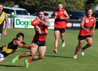 Redbacks find their feet