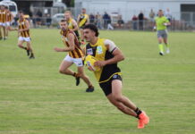 Tigers win easily – now a break