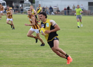 Tigers win easily – now a break