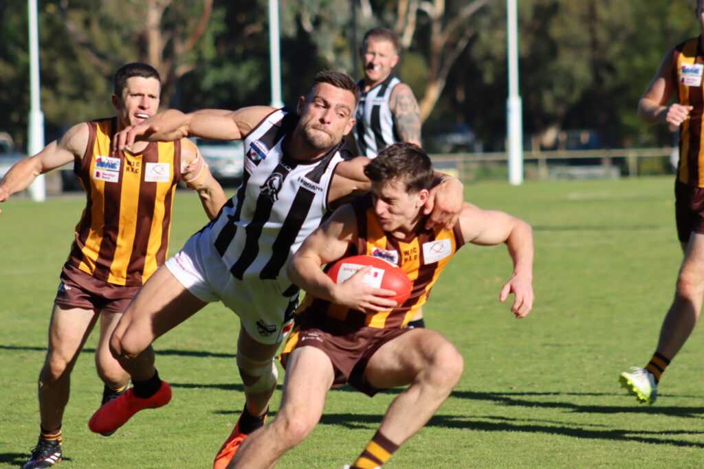 Chock full of interest