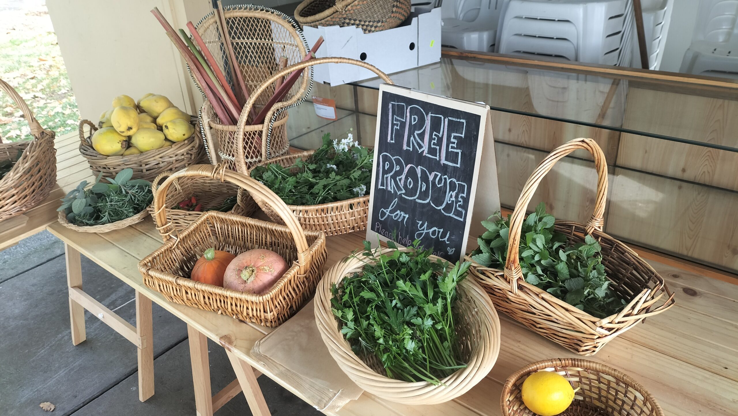 Come meet the Kyneton Backyard Growers