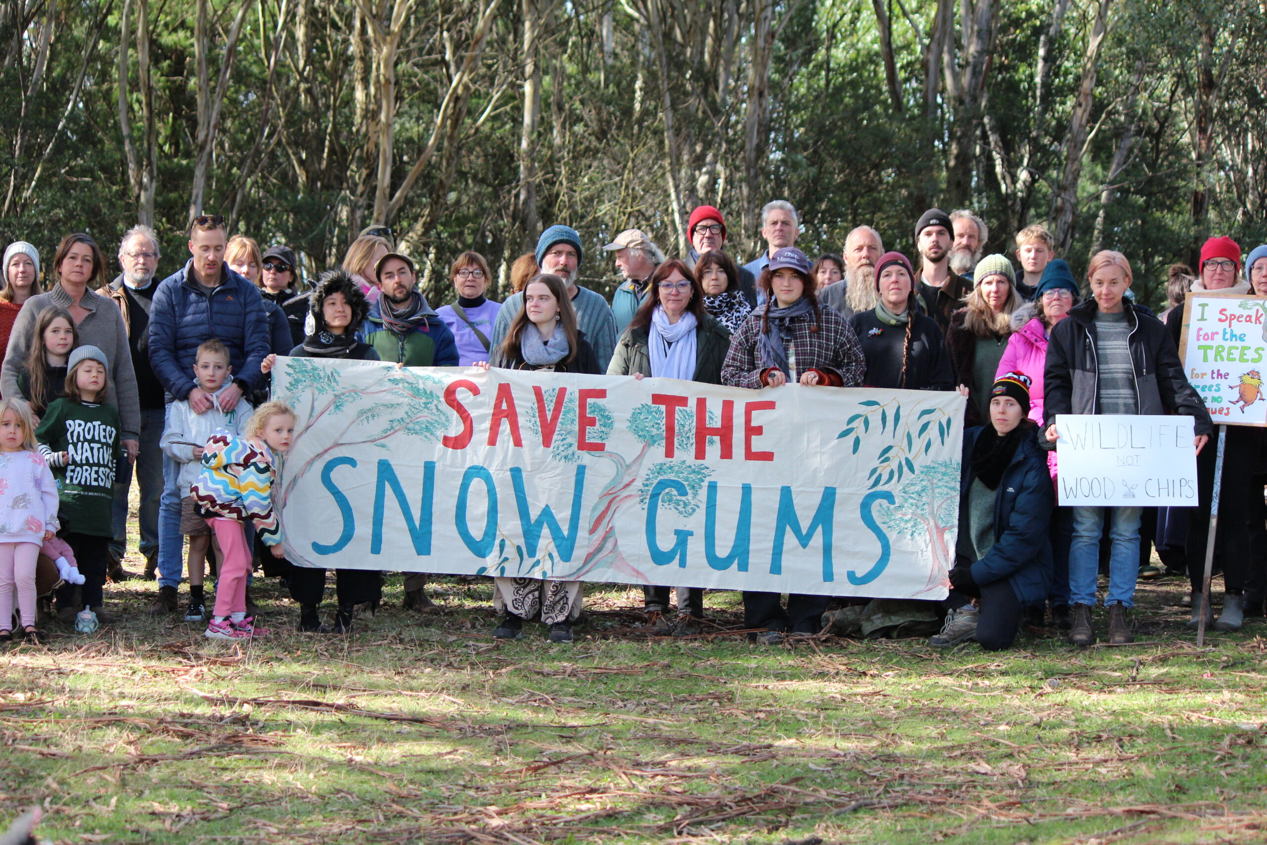 Heritage questioned in cross tree clearing
