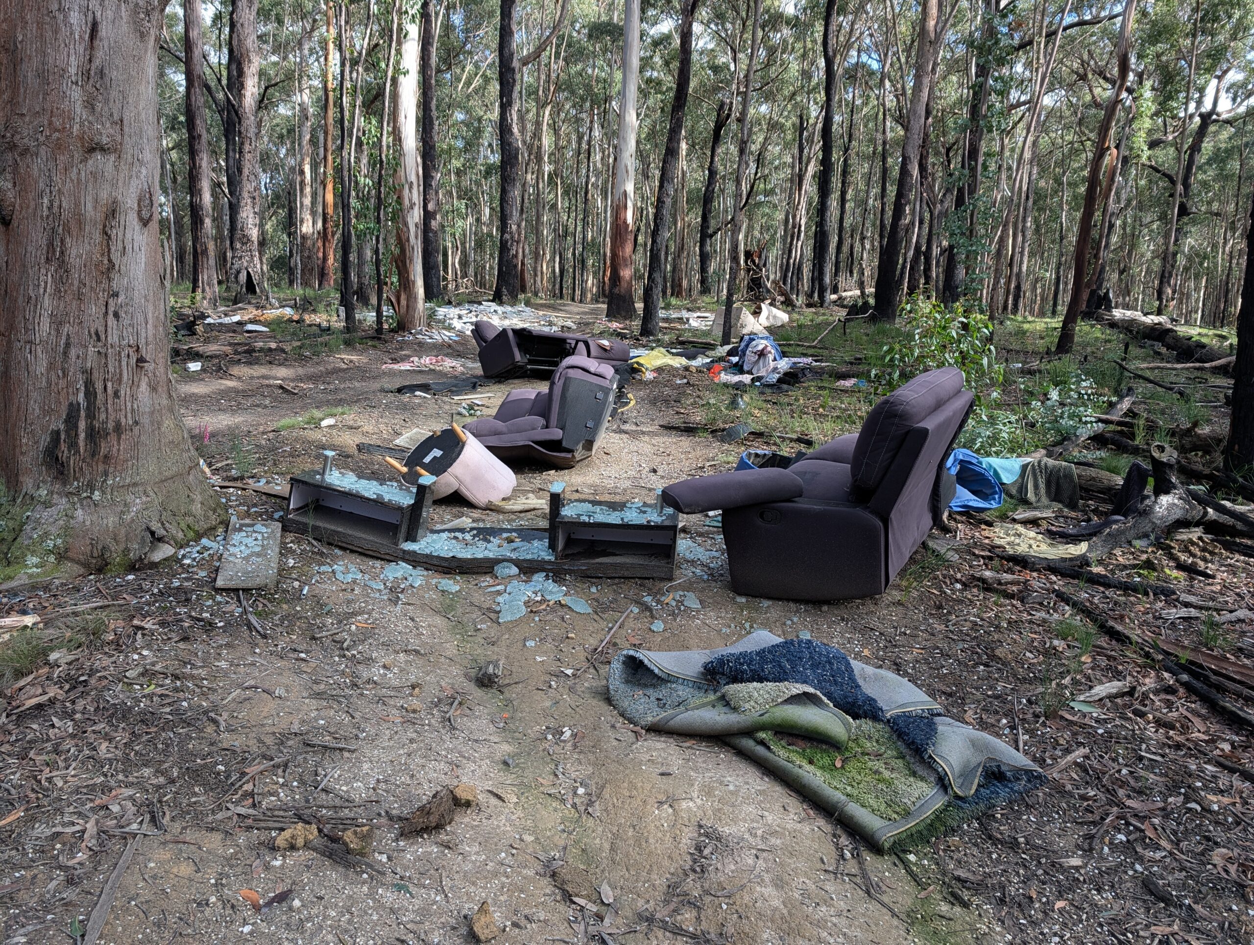 Who’s going to clean up this mess?