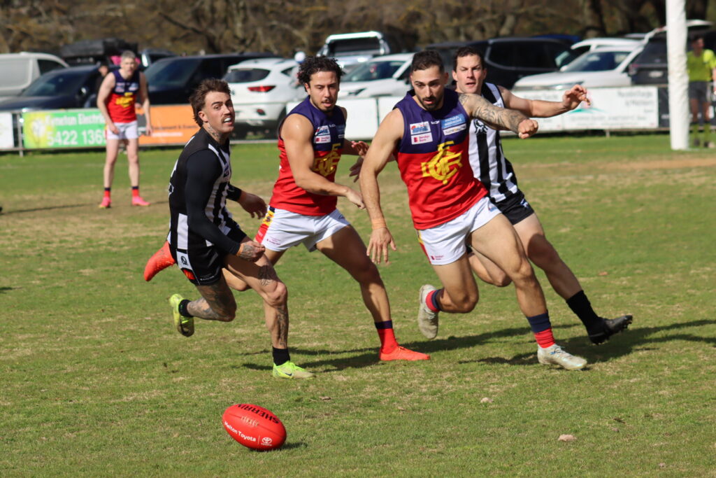 Dynamic Diggers, Kyneton run hot